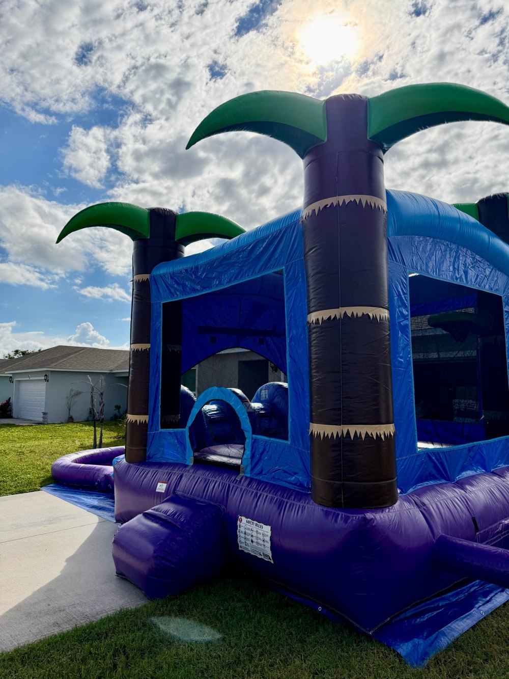 Tropical palm tree combo in blue and purple with a splash pool