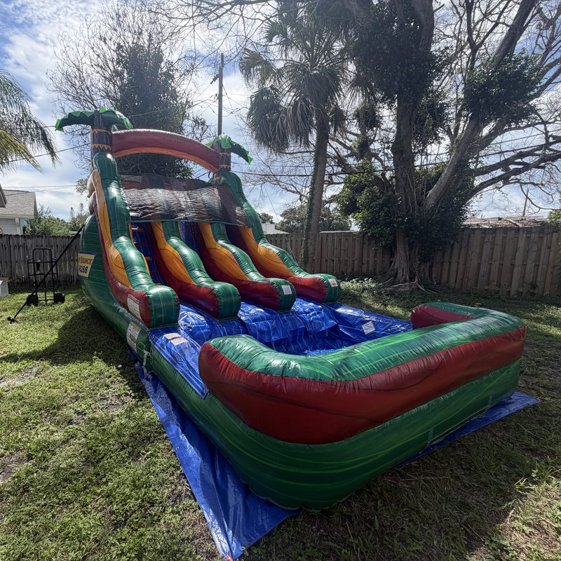 Tropical palm tree double lane water slide with a splash pool